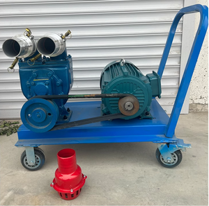 Pompa Autoadescante in Acciaio Inox ad Alta Prevalenza per Fosse Settiche, Acque Reflue, Laghetti per Pesci, Fanghi e Letame Suino - Product Image 5