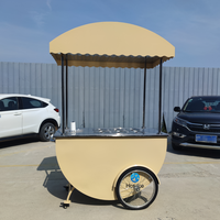 Chariot mobile réfrigéré pour la vente de glaces et de gelatos, avec auvent, idéal pour la distribution de bâtonnets glacés