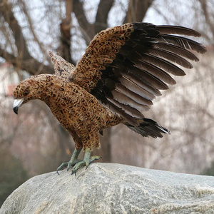 Mô Phỏng Nhựa Đầu Trắng Biển Đại Bàng Trang Trí Với Lông Thật Trang Trí Mô Hình Chim - Product Image 3