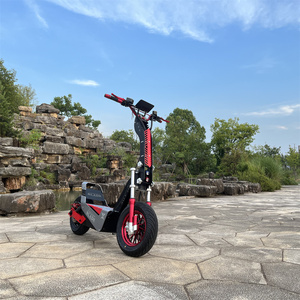 Scooter à grande vitesse pour adultes, moto à grande roue, haute performance pour adultes - Product Image 5