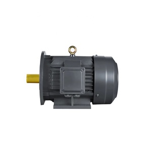 Durable 750W 400V Inducción asíncrona AC 1 <span class=keywords><strong>HP</strong></span> <span class=keywords><strong>Motor</strong></span> New Energy Vehículos eléctricos Single 1 <span class=keywords><strong>HP</strong></span> <span class=keywords><strong>Motor</strong></span> Trifásico AC - Product Image 5