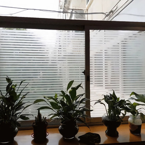 1.52*30m pellicola per finestre per animali domestici bianca piccola striscia vetrosa opaca a strisce traslucide decorativa per finestre per animali domestici doccia per ufficio - Product Image 5