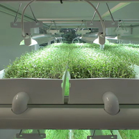 Plateaux de fourrage de serre Pot de pépinière Système hydroponique d'herbe d'orge