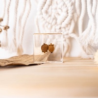 Groothandel Handgemaakte Harsen Handwerk Diy Vruchten Zaden Specimen Leermiddelen Kerstgeschenken Plant Hars Ambachten