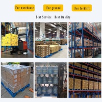 LYPALLETS Nouvelles palettes en plastique durables et hygiéniques, palettes robustes pour l'alimentation, les produits médicaux, les boissons, les produits pharmaceutiques