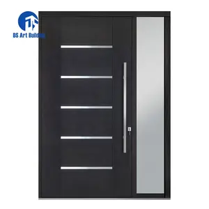 DS Hot Sale High Quality Residential Exterior Security Main Entrance Front Entry Stainless Steel Pivot Door