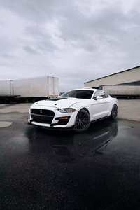 Kit de carrocería de parachoques de coche de alto rendimiento y <span class=keywords><strong>precio</strong></span> para <span class=keywords><strong>Ford</strong></span> <span class=keywords><strong>Mustang</strong></span> 2018-<span class=keywords><strong>2022</strong></span> Cambio a GT500. - Product Image 6