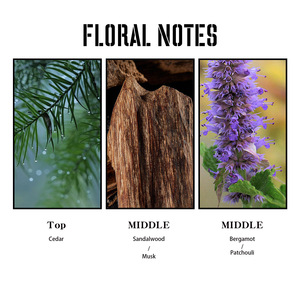 น้ำหอมกลิ่นดอกไม้ช่วยเพิ่มความอบอุ่นของฟีโรโมนธรรมชาติ - Product Image 4