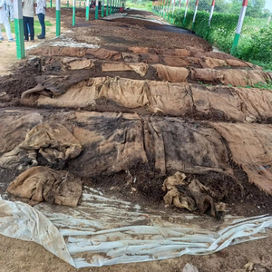 Fertilizante Orgánico de Compost Verm de la India, Naturalmente Fresco, de Calidad y Orgánico, 1 Kg - Calidad de Exportación, Excelente Precio - Product Image 6