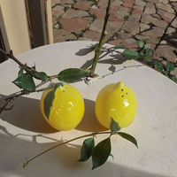 Salière et poivrière en forme de citron en céramique Objets décoratifs pour cuisine ou table