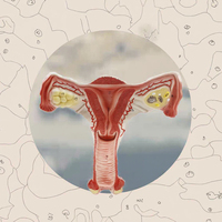 Modèle anatomique de l'utérus et des ovaires féminins humains KyrenMed KR-UM03, utérus normal, ovaires, système reproducteur, science médicale