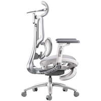 AJUNION Chaise d'ordinateur en maille à dossier haut avec coussin haute densité Chaise de bureau élégante Chaise de bureau ergonomique pour les paramètres de bureau