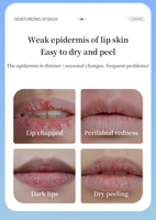 TWG RTS Vente Flash Sérum Lèvres Repulpant Hydratant Nourrissant Lissant Baume à Lèvres Personnalisable Étiquettes Personnalisées Sérum Lèvres Rose