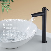 Keran Wastafel Tunggal Stainless Steel Hitam Matte Modern, Tuas Tunggal, Hanya Air Dingin, Untuk Rumah/Apartemen/Kamar Mandi