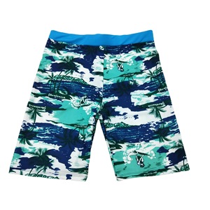 Traje de Baño Capri Estampado para Hombre, Alta Elasticidad, para Playa, Surf, Deportes Acuáticos, Talla Grande para Adultos - Product Image 1