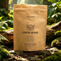 Pochette autoportante compostable en papier kraft biodégradable à 100 %, imprimée sur mesure, écologique, pour café