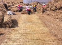 Machine à coudre pour tapis en paille de blé, riz, roseau et jute, machine à tricoter pour tapis en paille de roseau