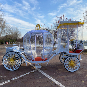 Nouvelle Carrosse Citrouille Blanche 2026 – Modèle Électrique de Haute Qualité Idéal pour Mariages et Parcs d'Attractions - Product Image 6