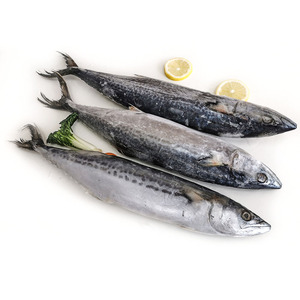 Pescado Atún Congelado IQF de 100-200g, Grado A, Venta al por Mayor de China, al Mejor Precio - Product Image 1
