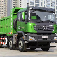 Camion benne Shacman Delong X3000 460HP 8X4 8M Euro 6 pour le transport de matériaux sur chantier