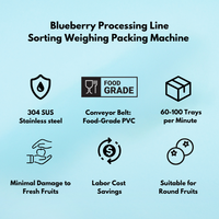 High-Output Weeg-En Verpakkingsmachine Voor De Sorteermachine Van Bosbessenkersen Tomaat Voor Fruitproducenten