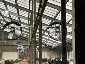 Ventilador Profesional de 38 Pulgadas para Granjas, Montado en la Pared, con Impulsor Curvo hacia Adelante y Rodamientos de Bolas, para Edificios Agrícolas y Gallineros - Product Image 5