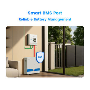 गर्म बिक्री 60a 80a 100a <span class=keywords><strong>mppt</strong></span> सौर चार्ज नियंत्रक समायोज्य 12v 24v 48V ऑफ-ग्रिड 150v इनपुट लिथियम लीड-एसिड बैटरी के लिए - Product Image 5