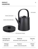 Bouilloire électrique anti-brûlure à double paroi de 1,0 L de qualité supérieure, intérieur en acier inoxydable 304, ébullition rapide, carafe à eau électrique pour la maison