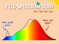 Protection des yeux Lumière du soleil Flicker Free Full Spectrum ETL Listed 12W 120V Dimmable E26 LED Sunlight Light