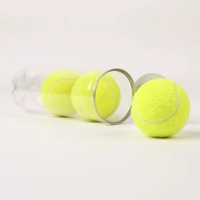 Balles de padel de table professionnelles personnalisées 5 étoiles, blanches et noires, en caoutchouc, pour l'entraînement sportif, la plage, les chiens, les animaux de compagnie, le cricket, Pelota De