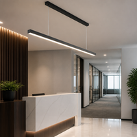 Luminaire suspendu de bureau à LED avec options de couleur personnalisées