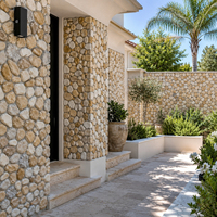 Revêtements muraux en pierre préfabriquée, panneaux muraux en pierre cultivée, revêtement extérieur, grandes dalles, villa, jardin, paysage, façade