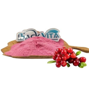 Prezzo all'ingrosso OEM/ODM 100% concentrato naturale succo di frutta in polvere mirtillo rosso in polvere - Product Image 3