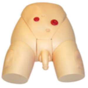 Modèle médical avancé de haute qualité pour la formation en soins infirmiers, avec parties génitales masculines, cathétérisme urétral et lavement, couleur chair - Product Image 2
