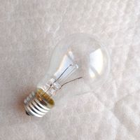 Fabrik Vintage Edison Lampe A55 A60 A70 110V 220V B22 E27 25W 40W 60W 75W 100W 150W Klar gefrostete Glühlampe