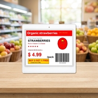 Étiquette de prix numérique électronique de 4,2 pouces, étiquette de prix numérique Epaper, affichage E Ink pour la vente au détail, supermarché