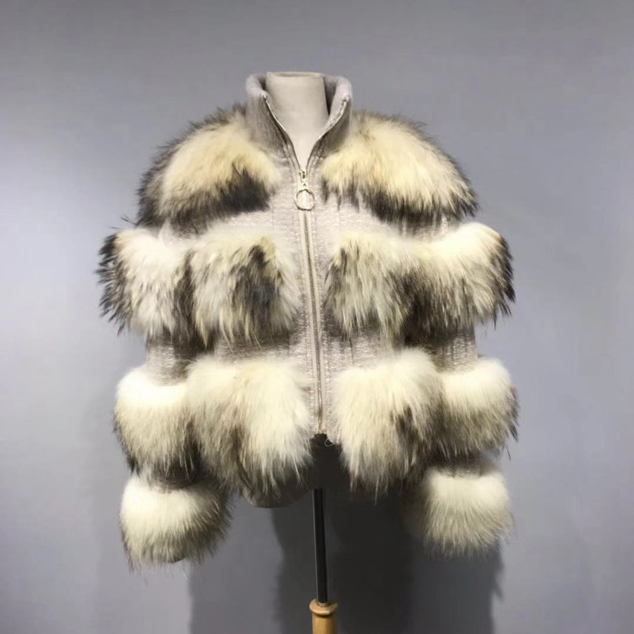raccoon white