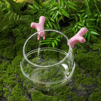 Baignoire multi-usages pour hamster avec échelle, anti-éclaboussures, transparente, grande surface, pour creuser, se baigner et faire ses besoins hygiéniques