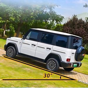 Voiture électrique pour adultes, véhicule à 4 roues à énergie nouvelle - Product Image 5