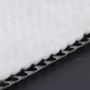 3次元複合排水ネットワークHDPE 3次元複合地盤工学排水ネットワーク - Product Image 4