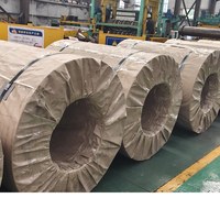 لفائف الصلب المدرفلة على الساخن مباشرة من المصنع SS400 SPHC A36 S235JR S355JR A572 Gr50 بسمك 1.2-25 مم، لفائف الصلب HR Q235B Q345B Q355B قابلة للقطع