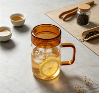 Bouilloire à eau en verre borosilicate haut de gamme Wuso, fabriquée à la main, avec couvercle et poignée ambrés, grande capacité de 450 ml, résistante à la chaleur, écologique, classique