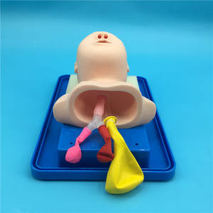 Mannequin d'intubation des voies respiratoires pour bébés pour <span class=keywords><strong>la</strong></span> formation en soins infirmiers et en éducation médicale - Product Image 4