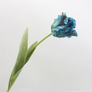 High Quality Artificial Silk Parrot <strong>Tulip</strong> Flowers Spring Colors for Home <strong>Table</strong> Vase Decoration Premium Simulation Flower - Product Image 5