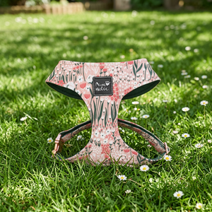 Fashion Comfortable Cotton <b>Dog</b> Harness Cotton Cat Harness Elegant Personalized Cute Style Buckle Closure for Large <b>Dogs</b> OEM ODM - Product Image 1