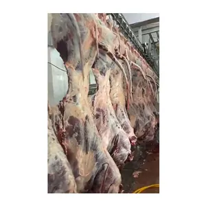 Sığır kasabı et işleme tesisi için lal Abattoir boğa kesim makinesi