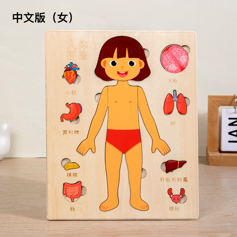 Female chinese version 018kg-lkm
