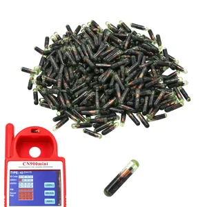 Chip Transponder Vergine in Vetro T6 ID48 Copia 48 per Volkswagen/Audi/Skoda/Volvo/Honda/Seat - Product Image 1