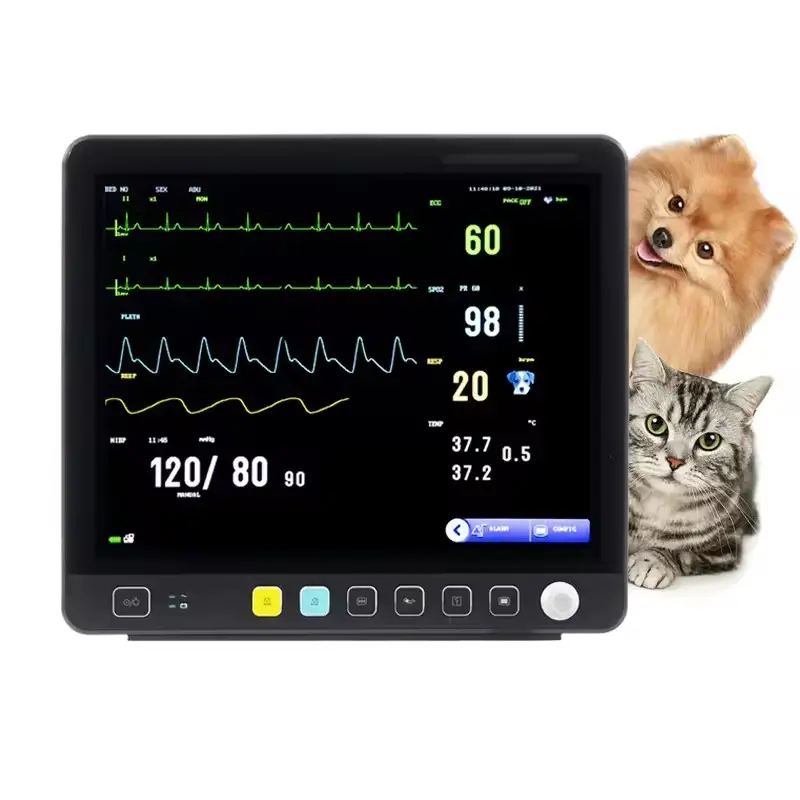 15.1 inch touch screen multiparameter veterinary monitor for pet dual channel Anti defibrillation vet monitor