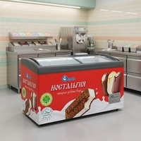 Congélateur de présentation de crème glacée industriel haute capacité X-MING pour les fabricants, prix de gros d'usine, certifié CE RoHS ETL